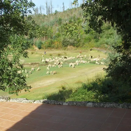 Holiday home Mansion In Dao Valley By River