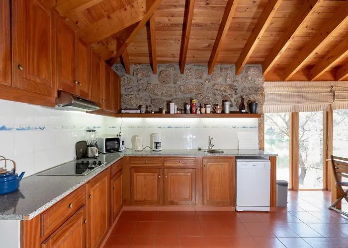 Holiday home Mansion In Dao Valley By River Treixedo
