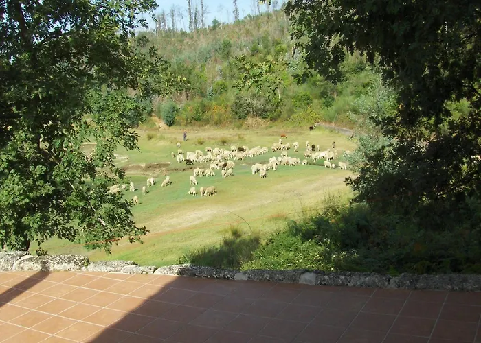 Holiday home Mansion In Dao Valley By River